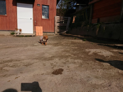 f:id:roukenhome-ann:20190407074827j:plain