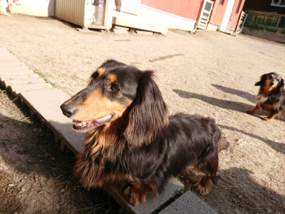 f:id:roukenhome-ann:20190407074840j:plain