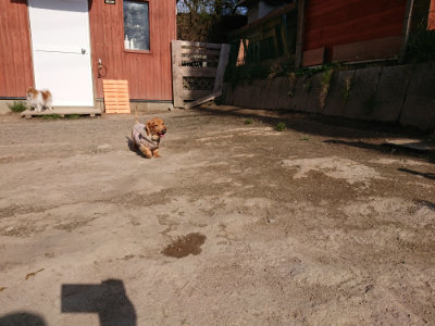 f:id:roukenhome-ann:20190407074845j:plain