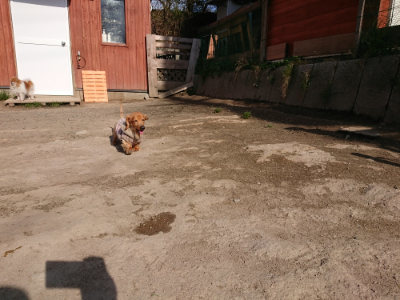 f:id:roukenhome-ann:20190407074850j:plain