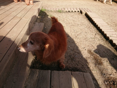 f:id:roukenhome-ann:20190407074932j:plain