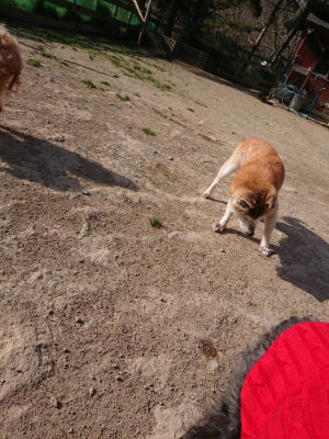 f:id:roukenhome-ann:20190407075005j:plain