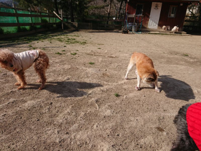 f:id:roukenhome-ann:20190407075022j:plain