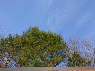 f:id:roukenhome-ann:20190407075114j:plain