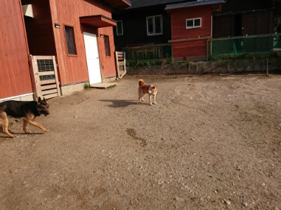 f:id:roukenhome-ann:20190407075157j:plain