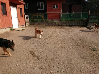 f:id:roukenhome-ann:20190407075206j:plain