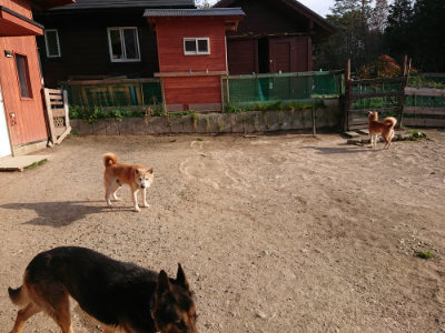 f:id:roukenhome-ann:20190407075213j:plain