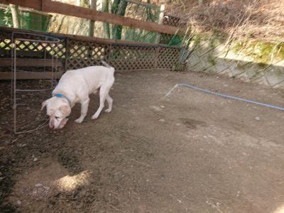 f:id:roukenhome-ann:20190407075217j:plain