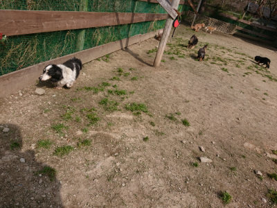 f:id:roukenhome-ann:20190407142542j:plain