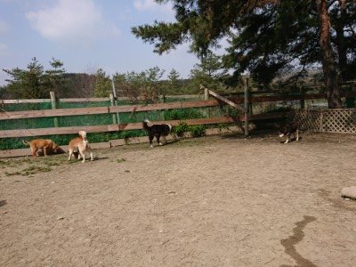 f:id:roukenhome-ann:20190407142554j:plain