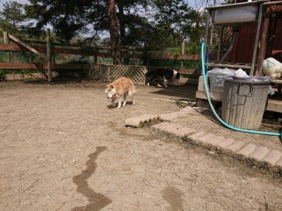 f:id:roukenhome-ann:20190407142612j:plain