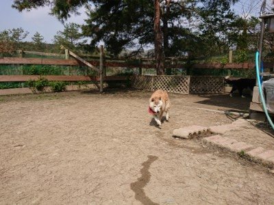 f:id:roukenhome-ann:20190407142617j:plain