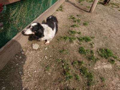 f:id:roukenhome-ann:20190407143023j:plain