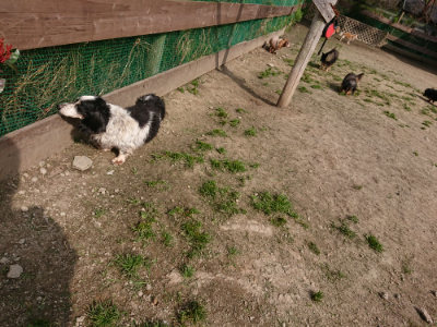 f:id:roukenhome-ann:20190407143117j:plain