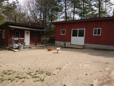 f:id:roukenhome-ann:20190407145015j:plain