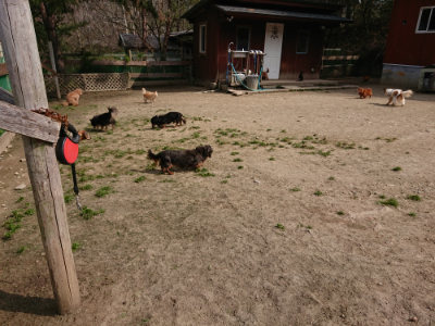 f:id:roukenhome-ann:20190407145042j:plain