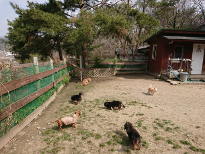 f:id:roukenhome-ann:20190407145113j:plain