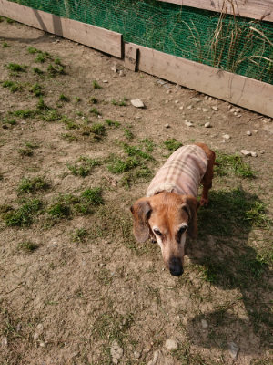 f:id:roukenhome-ann:20190407145153j:plain