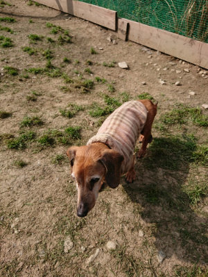 f:id:roukenhome-ann:20190407145159j:plain