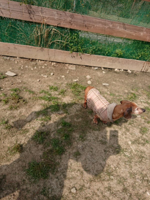 f:id:roukenhome-ann:20190407145259j:plain