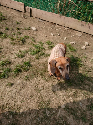f:id:roukenhome-ann:20190407145328j:plain