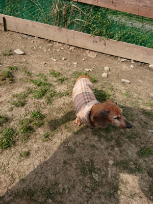 f:id:roukenhome-ann:20190407145354j:plain