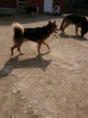 f:id:roukenhome-ann:20190407145448j:plain