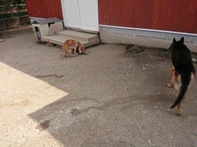 f:id:roukenhome-ann:20190407145455j:plain