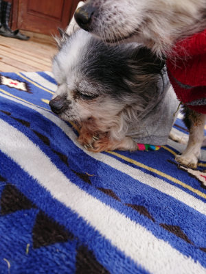 f:id:roukenhome-ann:20190407145512j:plain