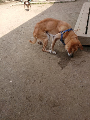 f:id:roukenhome-ann:20190407145524j:plain