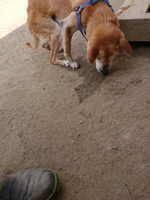 f:id:roukenhome-ann:20190407145530j:plain