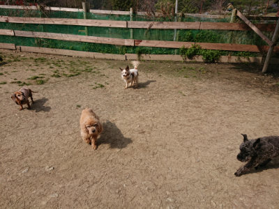 f:id:roukenhome-ann:20190407145653j:plain
