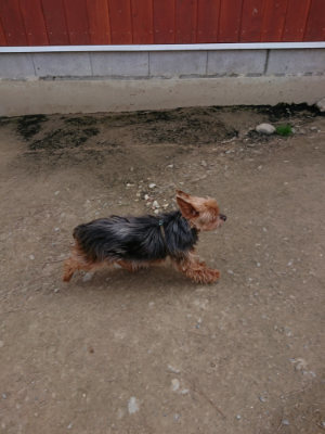 f:id:roukenhome-ann:20190407145705j:plain
