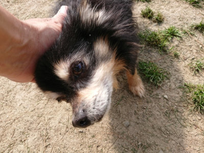 f:id:roukenhome-ann:20190407145710j:plain