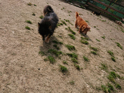 f:id:roukenhome-ann:20190407145755j:plain