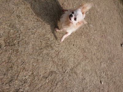 f:id:roukenhome-ann:20190407145810j:plain