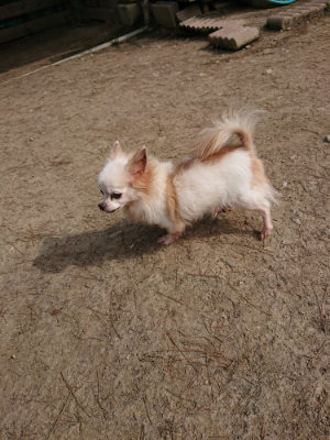 f:id:roukenhome-ann:20190407145817j:plain