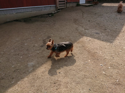 f:id:roukenhome-ann:20190407145823j:plain