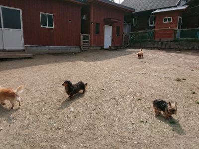 f:id:roukenhome-ann:20190407145829j:plain