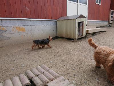 f:id:roukenhome-ann:20190407145843j:plain