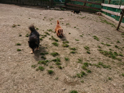 f:id:roukenhome-ann:20190407145922j:plain
