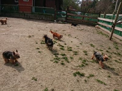f:id:roukenhome-ann:20190407145945j:plain
