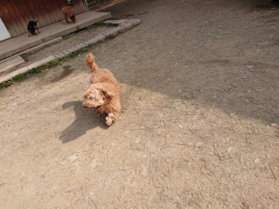 f:id:roukenhome-ann:20190407150003j:plain