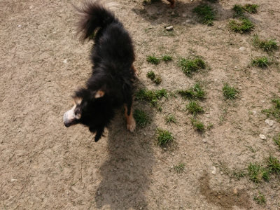 f:id:roukenhome-ann:20190407150010j:plain