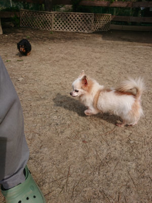 f:id:roukenhome-ann:20190407150021j:plain