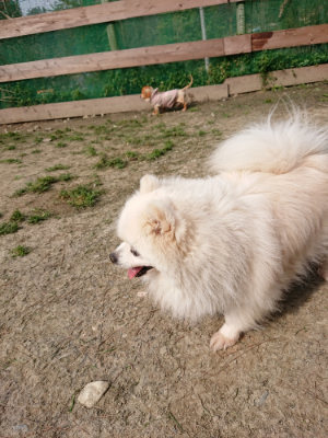 f:id:roukenhome-ann:20190407150047j:plain