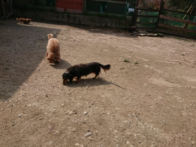 f:id:roukenhome-ann:20190407150052j:plain