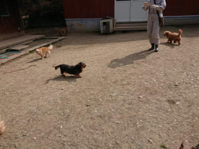 f:id:roukenhome-ann:20190407150059j:plain