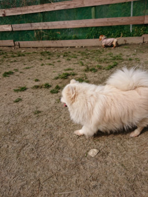 f:id:roukenhome-ann:20190407150111j:plain