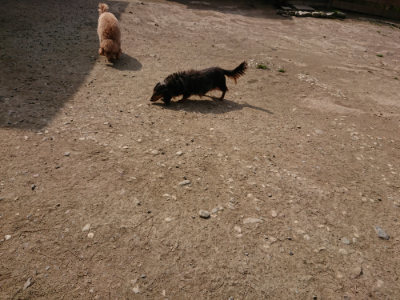 f:id:roukenhome-ann:20190407150117j:plain
